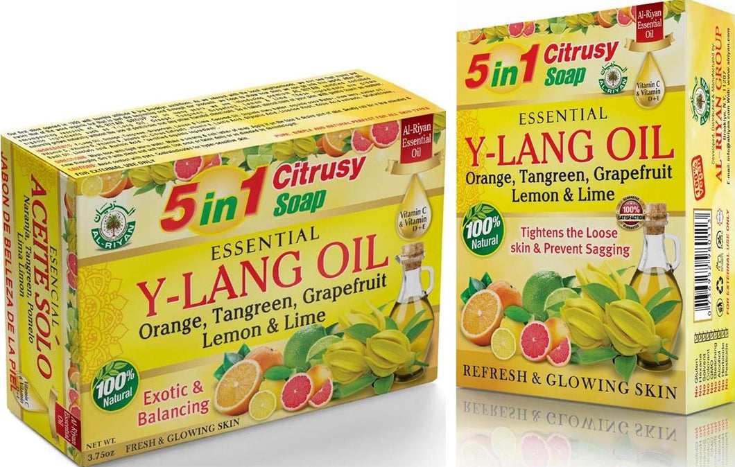 Essential Citrusy Soap 5in 1 Bar